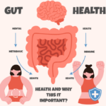 Illustration of the digestive system highlighting gut health importance.